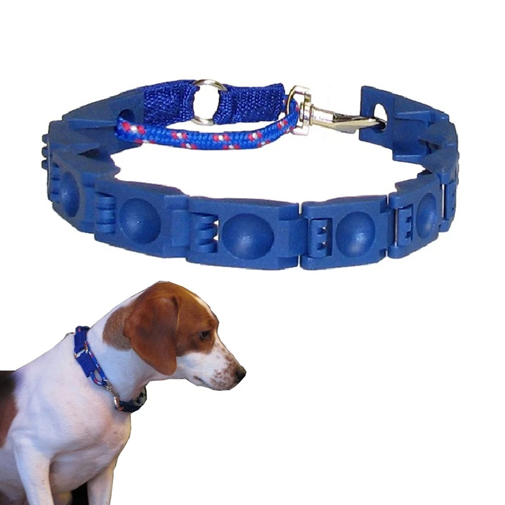 طوق الكلاب التعليمي Command collar - الصورة 3